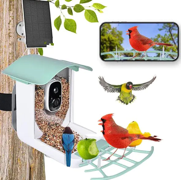 Solar-Powered Waterproof Bird Feeder with Camera